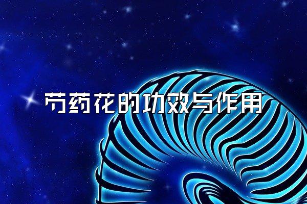 ҩĹЧ