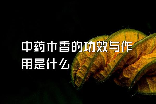 ҩľĹЧʲô