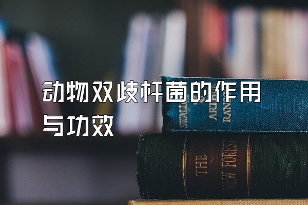 ˫˾빦Ч