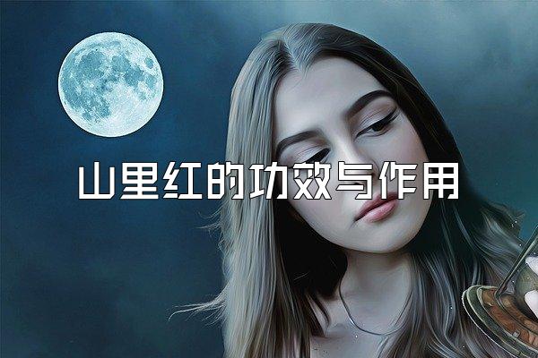 ɽĹЧ