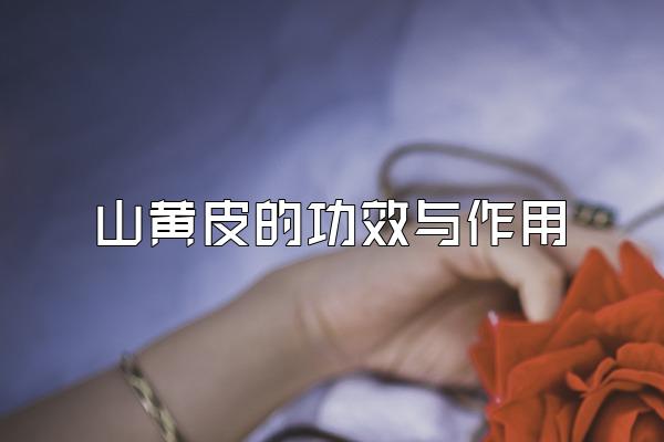 ɽƤĹЧ