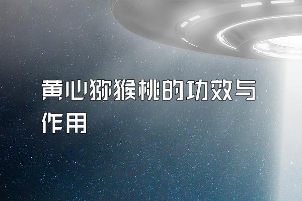⨺ҵĹЧ
