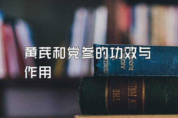 <a href=http://www.1zy.cn/huangqi/ target=_blank class=infotextkey></a><a href=http://www.1zy.cn/dangcanjiage/ target=_blank class=infotextkey></a>ĹЧ
