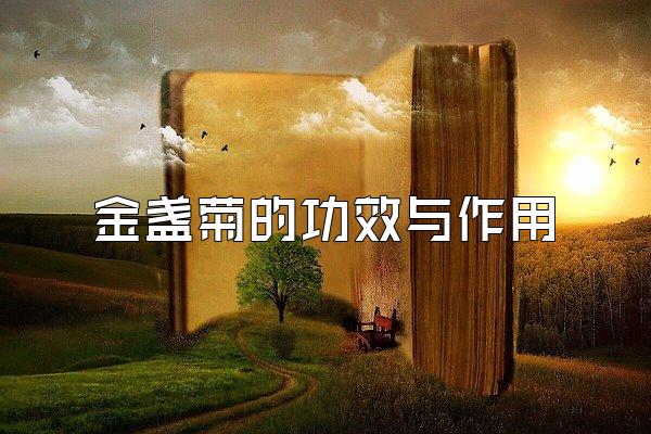յյĹЧ