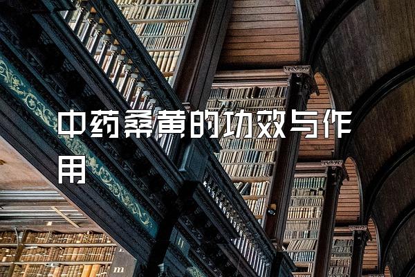 中药桑黄的功效与作用