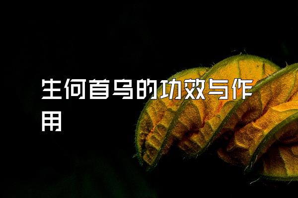 ڵĹЧ