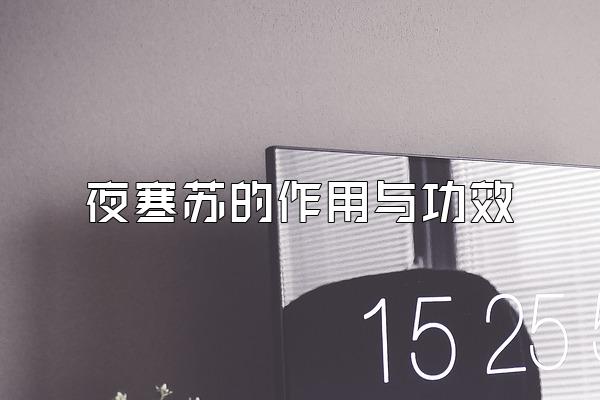 ҹյ빦Ч