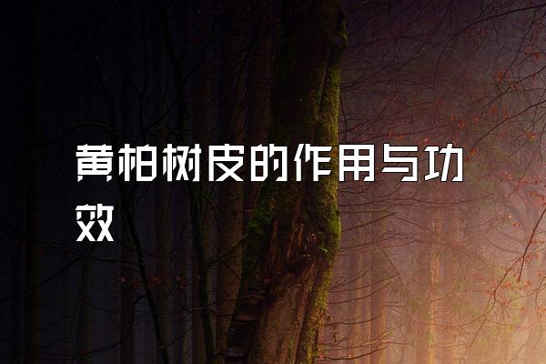 ưƤ빦Ч