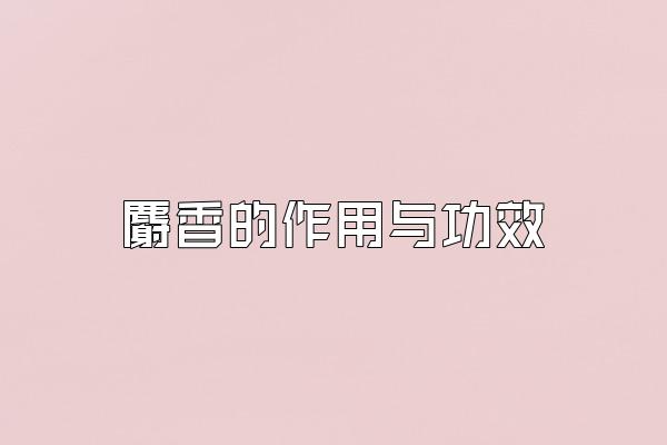 빦Ч