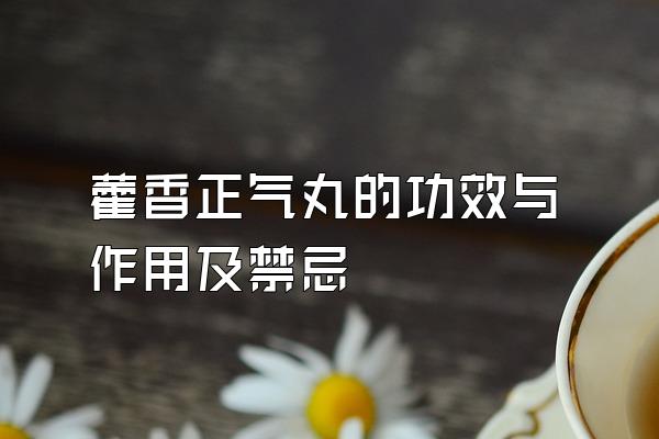 ޽ĹЧü