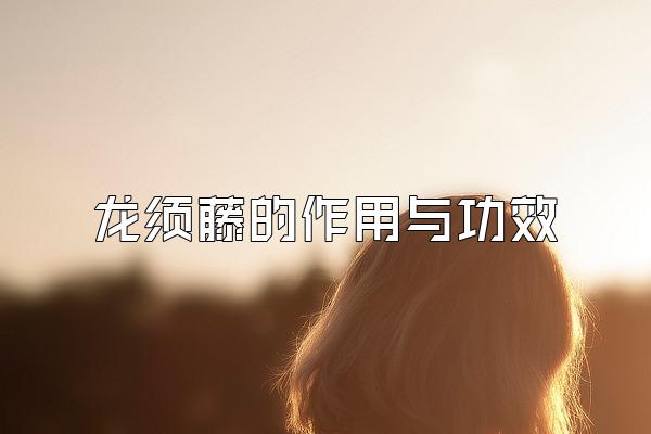 龙须藤的作用与功效