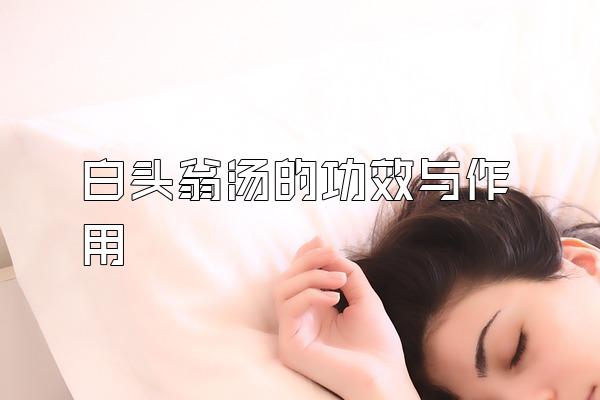 白头翁汤的功效与作用