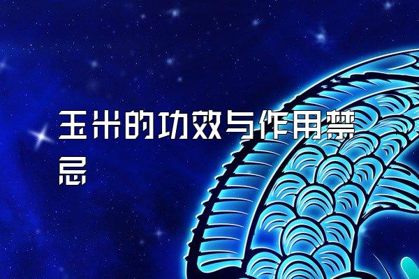 玉米的功效与作用禁忌