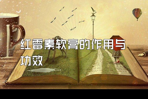 ù빦Ч