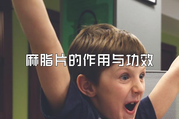 ֬Ƭ빦Ч