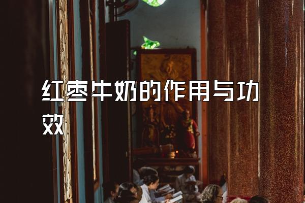 ţ̵빦Ч