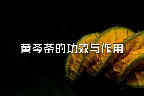 ˲ĹЧ