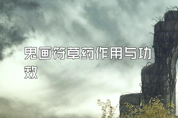 ҩ빦Ч