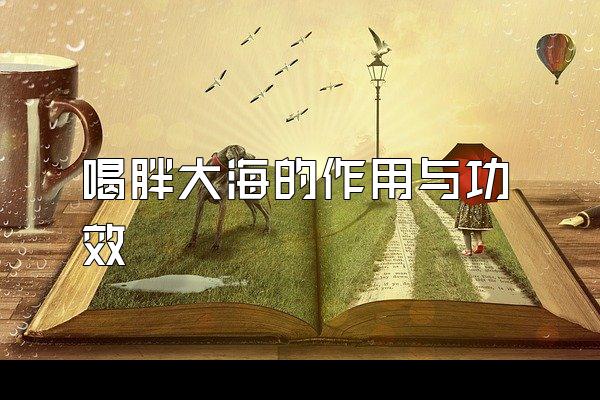 ִ󺣵빦Ч