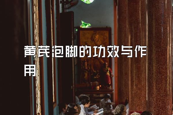 <a href=http://www.1zy.cn/huangqi/ target=_blank class=infotextkey></a>ݽŵĹЧ