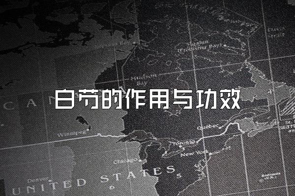 ֵ빦Ч
