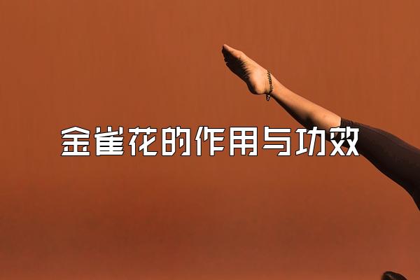 ȸ빦Ч