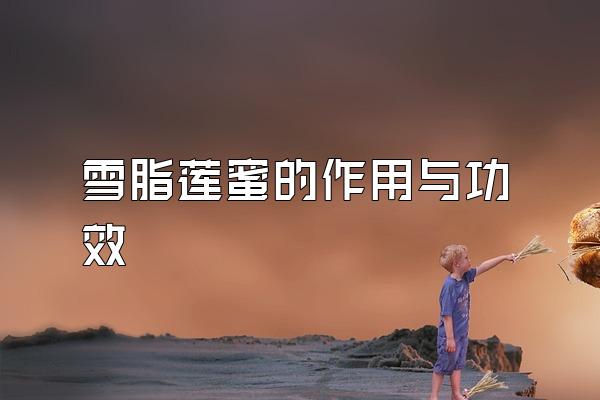 ѩ֬۵빦Ч