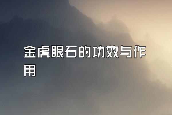 ʯĹЧ