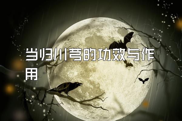 <a href=http://www.1zy.cn/danggui/ target=_blank class=infotextkey></a>ܺĹЧ
