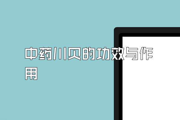 中药川贝的功效与作用