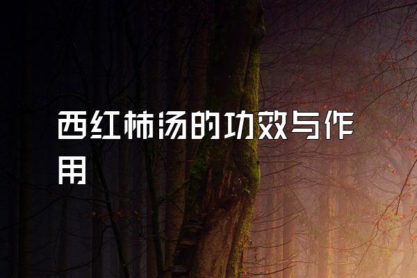 西红柿汤的功效与作用