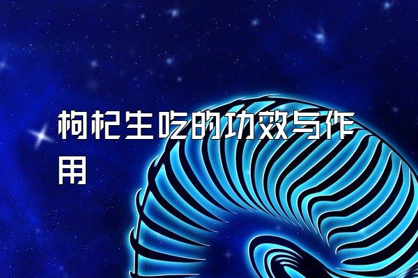 枸杞生吃的功效与作用