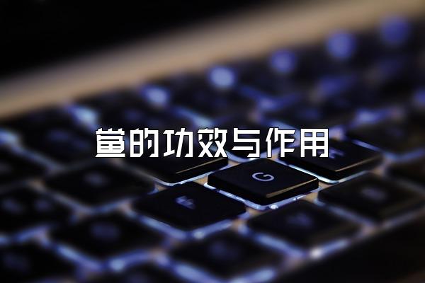 鲎的功效与作用