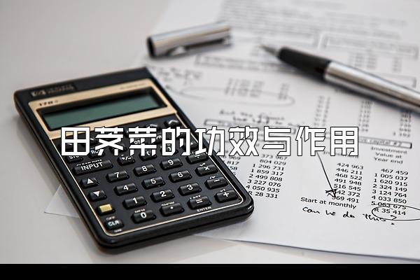 田荠菜的功效与作用