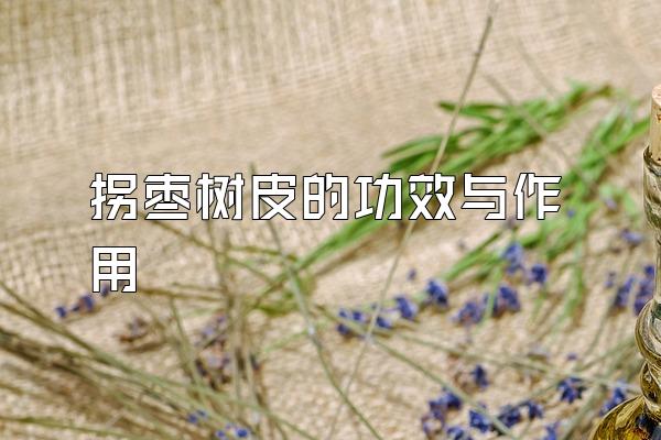 拐枣树皮的功效与作用