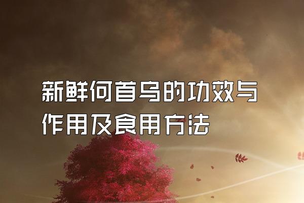 新鲜何首乌的功效与作用及食用方法