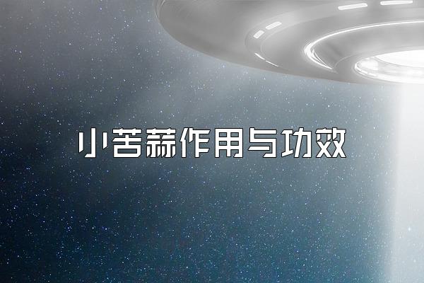 小苦蒜作用与功效