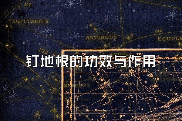 钉地根的功效与作用
