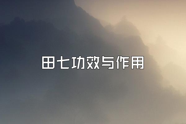 田七功效与作用