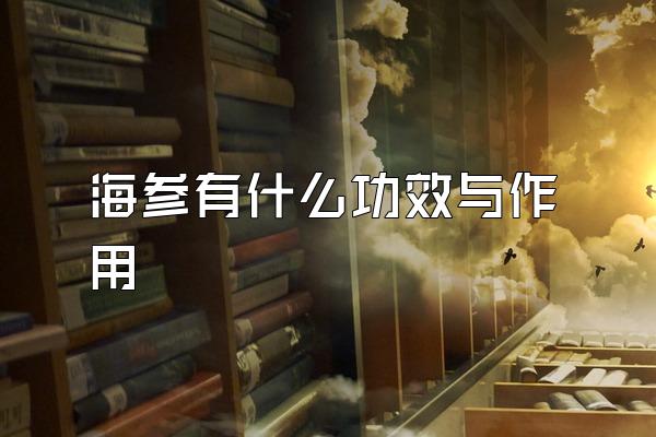 海参有什么功效与作用