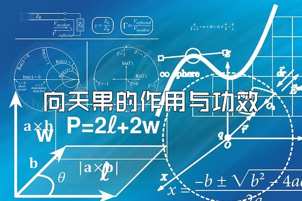 向天果的作用与功效