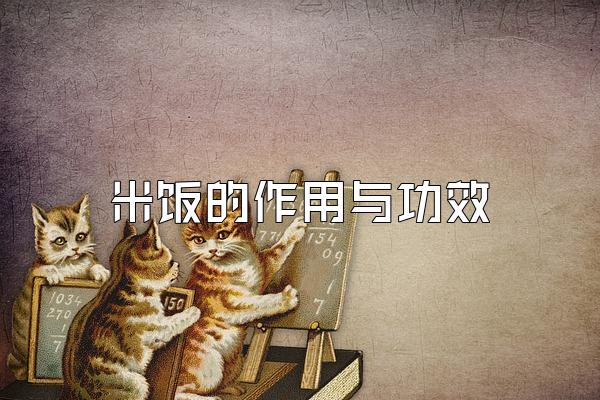 米饭的作用与功效