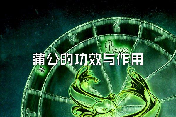 蒲公的功效与作用