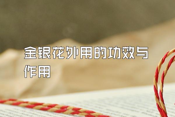 金银花外用的功效与作用