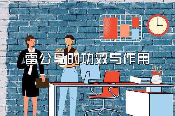 雷公马的功效与作用