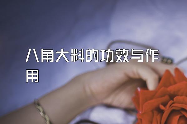 八角大料的功效与作用