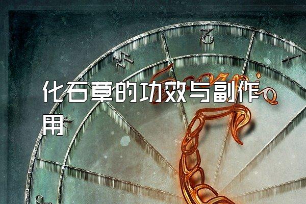化石草的功效与副作用