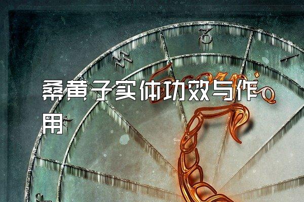桑黄子实体功效与作用
