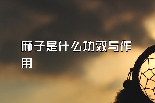 麻子是什么功效与作用