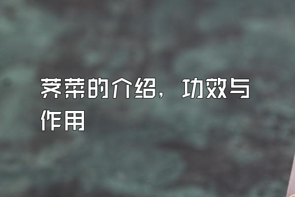 荠菜的介绍，功效与作用